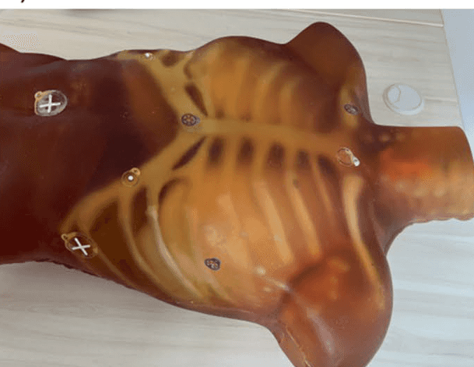 The radiological phantom used in the study