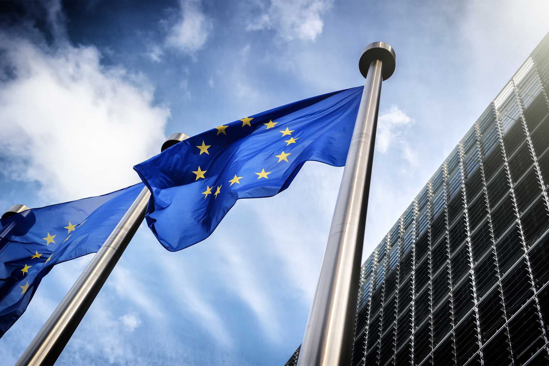 European Union flags